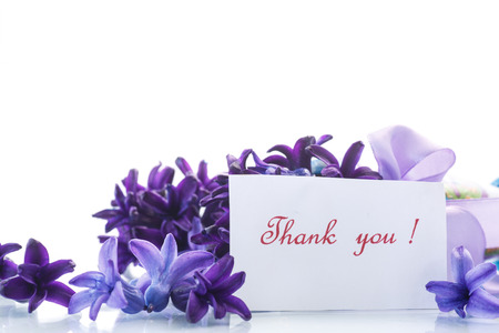 Spring blooming hyacinth with gratitude card on a white backgroundの写真素材