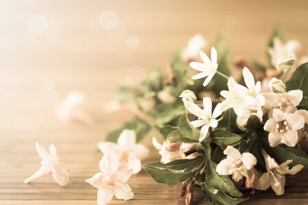 Weigel beautiful flowers on wooden table. filter effect antiqueの写真素材