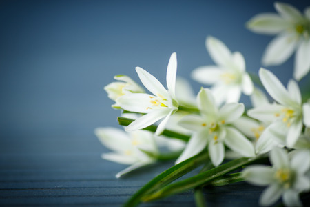 beautiful bouquet of white flowers on a wooden tableの写真素材
