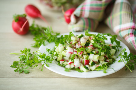 fresh salad of radish and cucumber on a white plateの写真素材