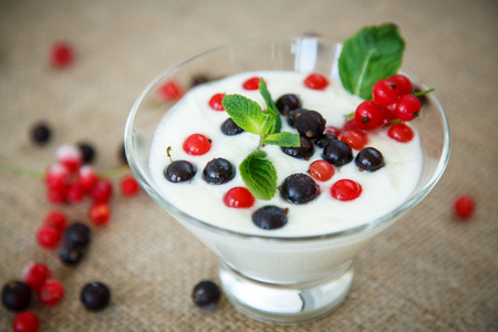 sweet homemade yogurt with berries and mintの写真素材