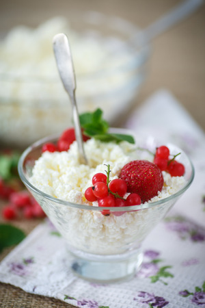 sweet curd in a bowl with berriesの写真素材