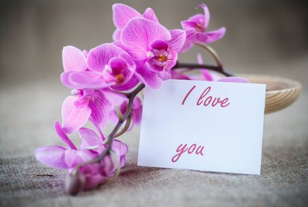 Beautiful purple phalaenopsis flowers on the tableの写真素材