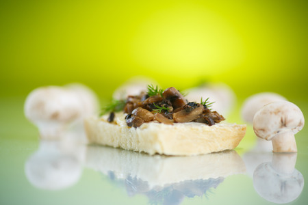 sandwich with cheese and mushrooms on a green backgroundの写真素材