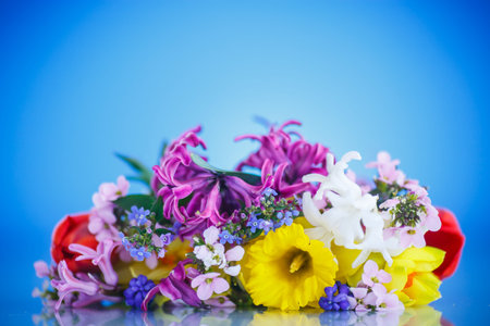 beautiful bouquet of spring flowers on a blue background