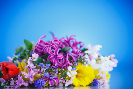 beautiful bouquet of spring flowers on a blue backgroundの写真素材
