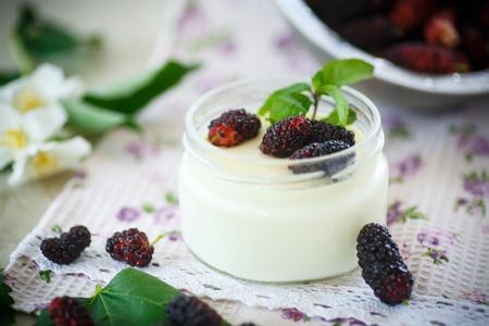 sweet delicious home made yogurt with mulberryの写真素材