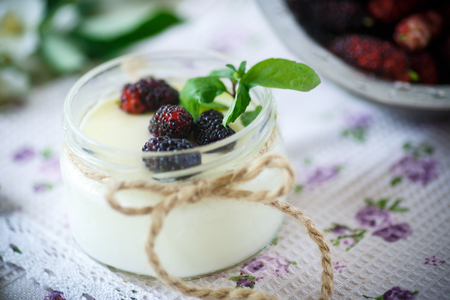 sweet delicious home made yogurt with mulberryの写真素材