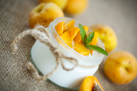 sweet yogurt with fresh apricots and mintの写真素材