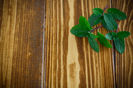 fresh green mint on a wooden table