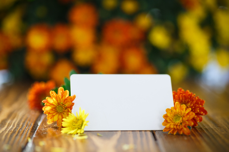 beautiful bouquet of bright chrysanthemums on the tableの写真素材