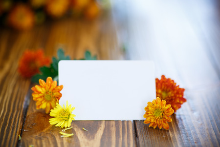 beautiful bouquet of bright chrysanthemums on the tableの写真素材