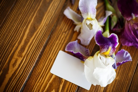 beautiful white with purple irises on a wooden tableの写真素材