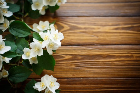 White flowers of jasmine on brown wooden backgroundの写真素材