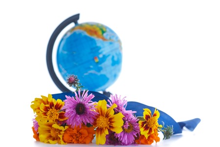 bouquet of autumn flowers with a globe on a white backgroundの写真素材
