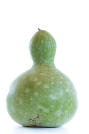 large green bottle gourd on a white backgroundの写真素材