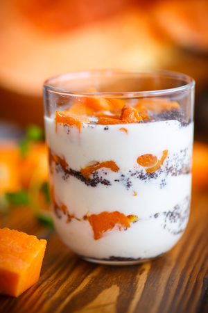 Greek yogurt with baked pumpkin and poppy seedsの写真素材