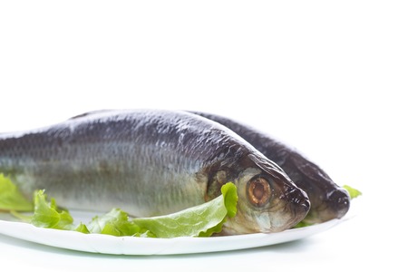 whole salted herring with lettuce on a plateの写真素材