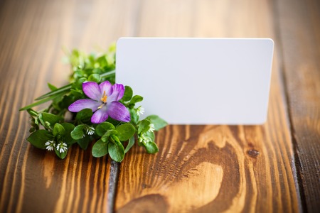 Bunch of flowers with crocusesの写真素材
