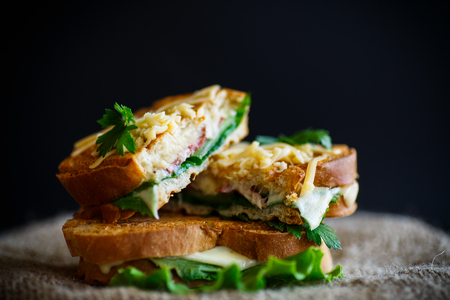Fried hot sandwich with sausage and salad leavesの写真素材