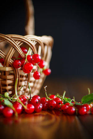 Ripe red currant in a basket