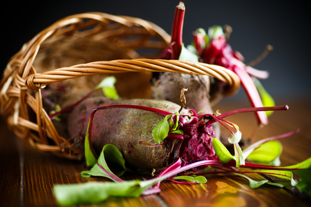 Fresh organic raw beetの写真素材