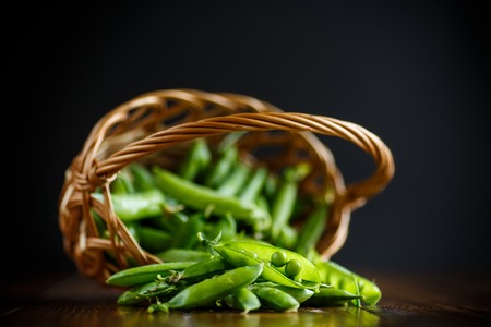 Fresh early green peasの写真素材