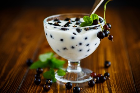 Sweet Greek yogurt with black currant berriesの写真素材