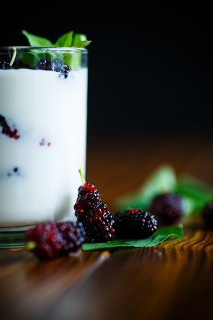 Sweet Greek yogurt with mulberry berriesの写真素材