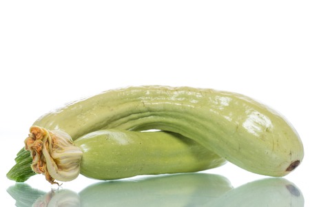 Two ripe green zucchiniの写真素材