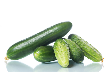 Fresh natural organic cucumber on white backgroundの写真素材