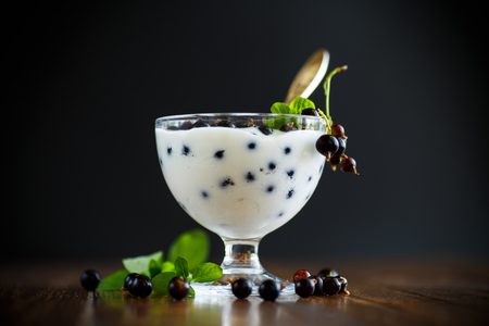 Sweet Greek yogurt with black currant berriesの写真素材