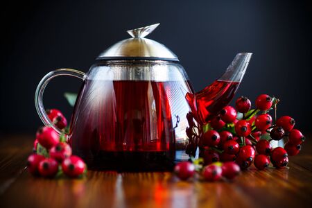 rose hip teaの写真素材