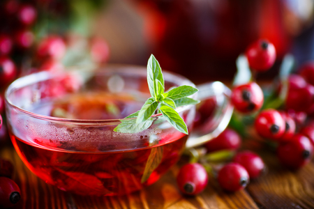 rose hip teaの写真素材