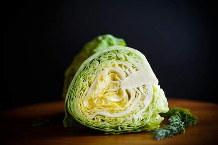 cabbage young greenの写真素材