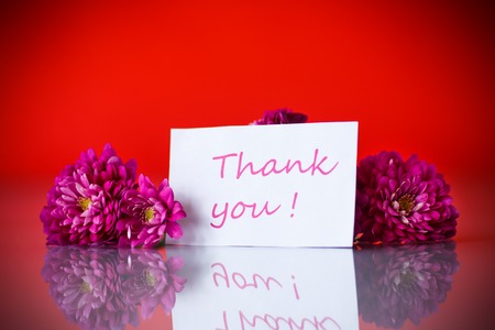 bouquet of beautiful chrysanthemums on a red backgroundの写真素材