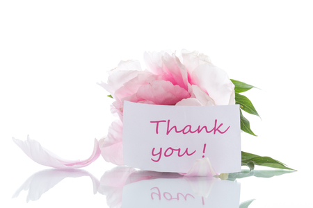 Beautiful peony flowersの写真素材