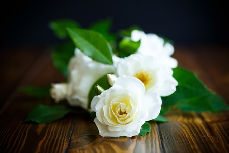 beautiful white blooming roses on a wooden tableの写真素材