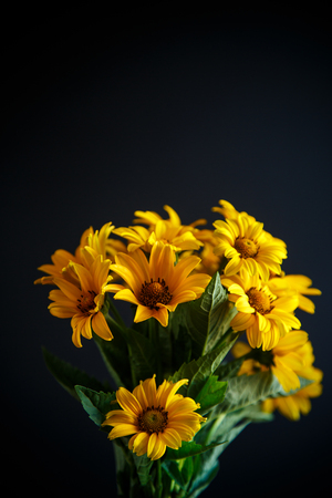 bouquet of yellow big daisies on a black backgroundの写真素材