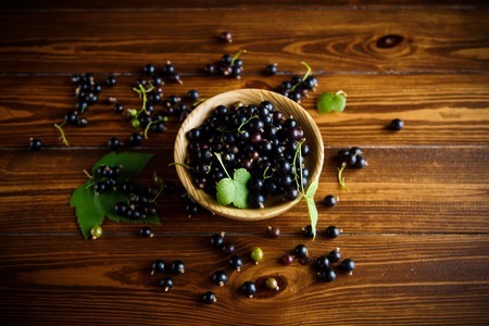 ripe berries black currantsの写真素材