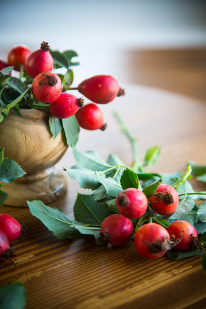 Ripe red briar berries on a branch on a wooden tableの写真素材