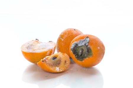 frozen ripe persimmon in ice isolated on white backgroundの写真素材