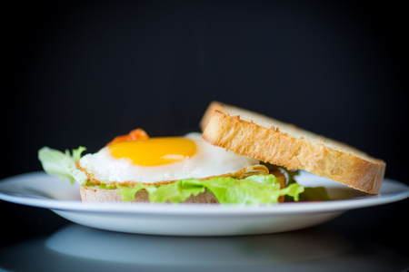 fresh sandwich with lettuce leaves and fried egg with hot toastsの写真素材