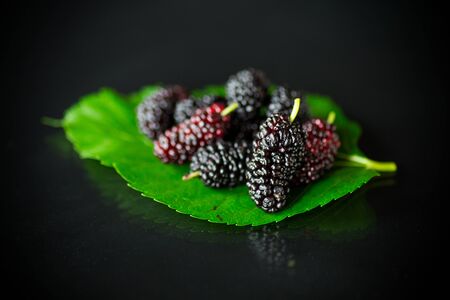 Mulberry berry with leaf isolated on black backgroundの写真素材