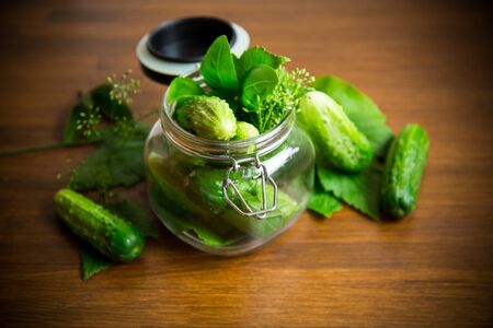 cucumbers and spices with herbs for canning in a jarの写真素材