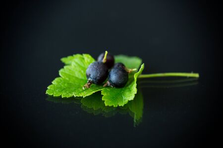 ripe black currant with foliage on black backgroundの写真素材