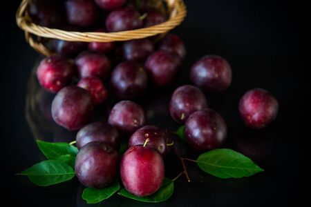 organic red ripe cherry plum isolated on blackの写真素材