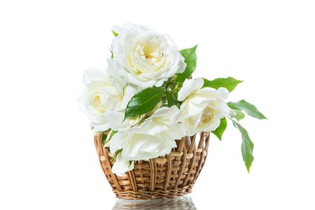 bouquet of beautiful white roses isolated on white backgroundの写真素材