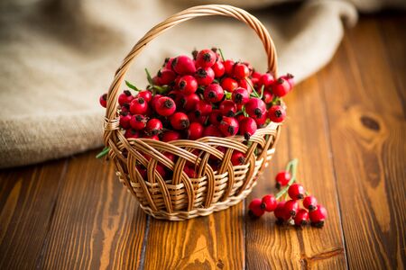 ripe red dogrose in a basket on a wooden tableの写真素材