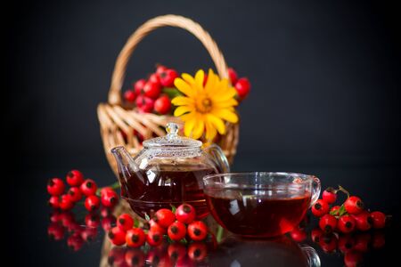 hot tea from medicinal fruits of red ripe rosehip, isolated on black backgroundの写真素材